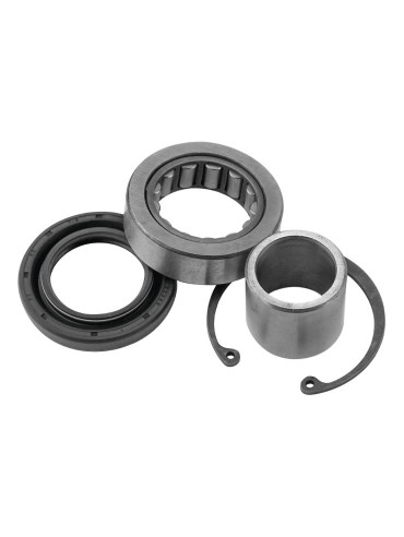 KIT BALERO Y RETEN CONTRATAPA PRIMARIA HARLEY DAVIDSON 08-17 (ALL BALLS RACING)